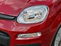 Fiat Panda 1.0 firefly hybrid s&s 70cv 5p.ti Rosso - thumbnail 7