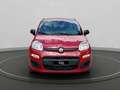 Fiat Panda 1.0 firefly hybrid s&s 70cv 5p.ti Rosso - thumbnail 3