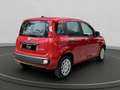 Fiat Panda 1.0 firefly hybrid s&s 70cv 5p.ti Rosso - thumbnail 2