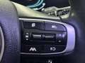 Kia Sportage 1.6 crdi mhev 48 V BUSINESS DCT Bianco - thumbnail 9
