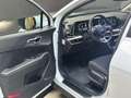 Kia Sportage 1.6 crdi mhev 48 V BUSINESS DCT Bianco - thumbnail 8