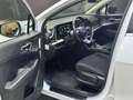 Kia Sportage 1.6 crdi mhev 48 V BUSINESS DCT Bianco - thumbnail 11