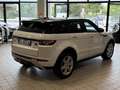 Land Rover Range Rover Evoque 5p 2.2 td4 Pure Tech Pack 150cv auto 9m - thumbnail 6