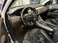 Land Rover Range Rover Evoque 5p 2.2 td4 Pure Tech Pack 150cv auto 9m - thumbnail 11