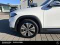 Mercedes-Benz EQB 300 EQB 300 4M Progressive 360° Vorr.-Distronic LED Weiß - thumbnail 20