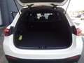 Mercedes-Benz GLC 200 d 4M AMG Ö-Edition AHV Weiß - thumbnail 18
