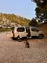 Peugeot Rifter 1.5BlueHDi S&S Standard GT Line EAT8 130 Gris - thumbnail 4