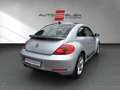 Volkswagen Beetle Sport*Klima*Leder*Panoramadach* Gümüş rengi - thumbnail 4