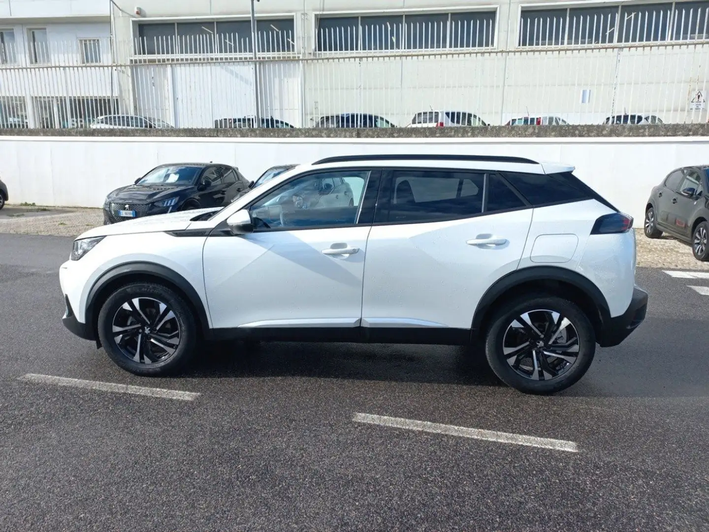 Peugeot 2008 PureTech 100 Allure Pack S/S Bianco - 2