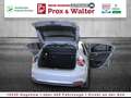 Fiat Tipo Hatchback City Sport KAMERA+AHK+LED+ALU18 Gris - thumbnail 23