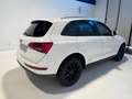 Audi Q5 Q5 2.0 tdi quattro 143cv dpf Blanc - thumbnail 6