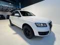 Audi Q5 Q5 2.0 tdi quattro 143cv dpf Blanc - thumbnail 1