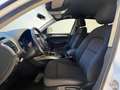 Audi Q5 Q5 2.0 tdi quattro 143cv dpf Blanc - thumbnail 8