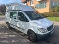 Mercedes-Benz Vito Kasten 111 CDI lang Hochdach Blanc - thumbnail 4