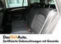 Volkswagen Golf Variant Rabbit TDI DSG Grau - thumbnail 13