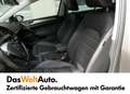 Volkswagen Golf Variant Rabbit TDI DSG Grau - thumbnail 12