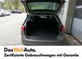 Volkswagen Golf Variant Rabbit TDI DSG Grau - thumbnail 4