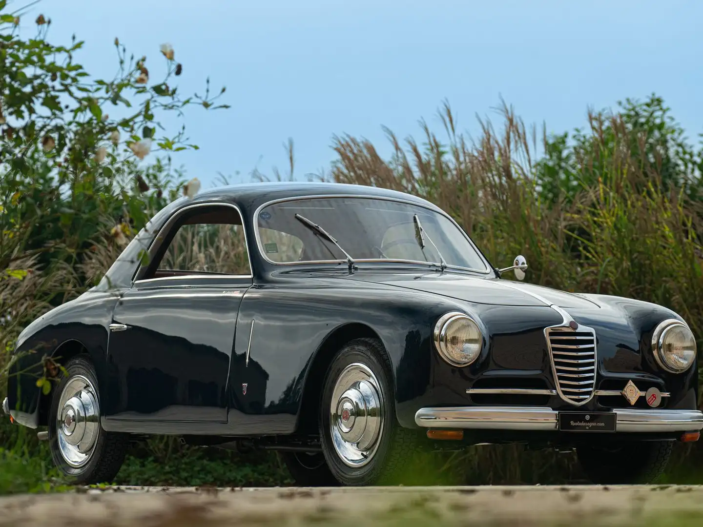 Fiat Blau - 1