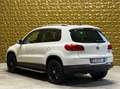Volkswagen Tiguan Tiguan 2.0 tdi 4 Motion dsg Wit - thumbnail 5