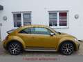 Volkswagen Beetle 1.4TSI Dune Xenon Navi Multilenkrad AppCo Gelb - thumbnail 3