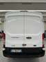 Ford TRANSIT 350 2.0TDCi EB MHEV  PM-TM Furgone Blanc - thumbnail 5