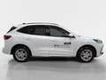 Ford Kuga 2,5 Duratec FHEV ST-Line X Allrad Aut. Weiß - thumbnail 16