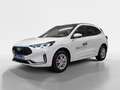 Ford Kuga 2,5 Duratec FHEV ST-Line X Allrad Aut. Weiß - thumbnail 2