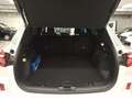 Ford Kuga 2,5 Duratec FHEV ST-Line X Allrad Aut. Weiß - thumbnail 12