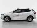 Ford Kuga 2,5 Duratec FHEV ST-Line X Allrad Aut. Weiß - thumbnail 3