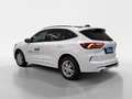 Ford Kuga 2,5 Duratec FHEV ST-Line X Allrad Aut. Weiß - thumbnail 4