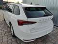 Skoda Octavia Combi Selection 2,0 TDI 150 PS DSG-4 Jahre Gara... Weiß - thumbnail 4