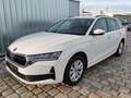 Skoda Octavia Combi Selection 2,0 TDI 150 PS DSG-4 Jahre Gara... Weiß - thumbnail 1
