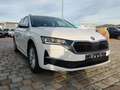 Skoda Octavia Combi Selection 2,0 TDI 150 PS DSG-4 Jahre Gara... Weiß - thumbnail 3