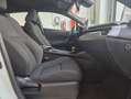 Toyota C-HR 125H Active Blanco - thumbnail 18