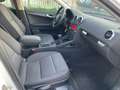 Audi A3 SPB 1.6 TDI 90 CV CR F.AP Ambition Bianco - thumbnail 12