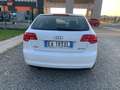 Audi A3 SPB 1.6 TDI 90 CV CR F.AP Ambition Bianco - thumbnail 6