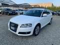 Audi A3 SPB 1.6 TDI 90 CV CR F.AP Ambition Bianco - thumbnail 1