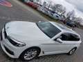 BMW 520 520d Touring Panorama, AHK, Navi, TOP Gepflegt Weiß - thumbnail 4