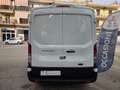Ford Transit 2.0 ECOBLUE 107CV ***SOLO 84.000Km*** - thumbnail 13