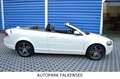 Volvo C70 II  D5 CABRIO SUMMUM Beige - thumbnail 11
