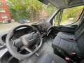 Iveco Daily Kasten HKa 35 S/99TKM/HOCH+LANG/HL/ White - thumbnail 15