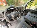 Iveco Daily Kasten HKa 35 S/99TKM/HOCH+LANG/HL/ White - thumbnail 12