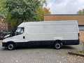 Iveco Daily Kasten HKa 35 S/99TKM/HOCH+LANG/HL/ White - thumbnail 8