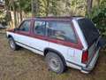 Chevrolet Blazer S-10 Luxus 4WD - thumbnail 9