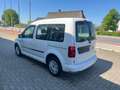 Volkswagen Caddy CADDY LIFE 1.4 TGI ECOFUEL LEDER/KLIMA/5-SITZER Blanc - thumbnail 4