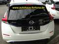 Nissan Leaf Tekna e+ 62kwh Leder Bose LED Winterpaket Weiß - thumbnail 3
