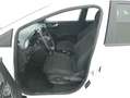 Ford Puma Titanium 1.0 Mild Hybrid 125CV Bianco - thumbnail 10