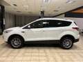 Ford Kuga 2.0 tdci Titanium 4wd 140cv Blanc - thumbnail 5