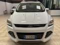 Ford Kuga 2.0 tdci Titanium 4wd 140cv Blanc - thumbnail 3