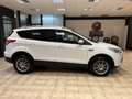 Ford Kuga 2.0 tdci Titanium 4wd 140cv Blanc - thumbnail 6